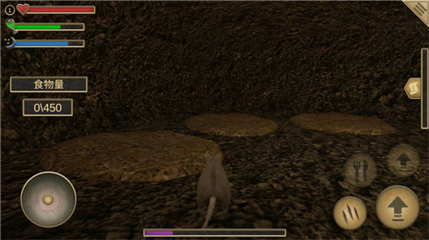 第六步:同意服务条款