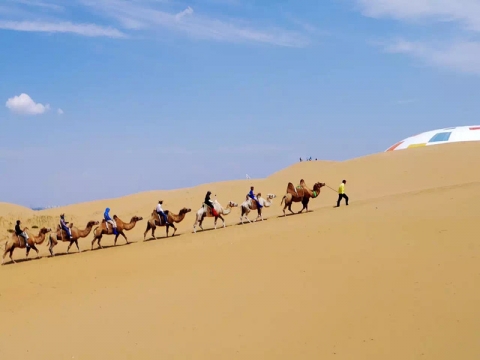 暑假到内蒙古草原沙漠旅行/石家庄到希拉穆仁鄂尔多斯双飞5日游