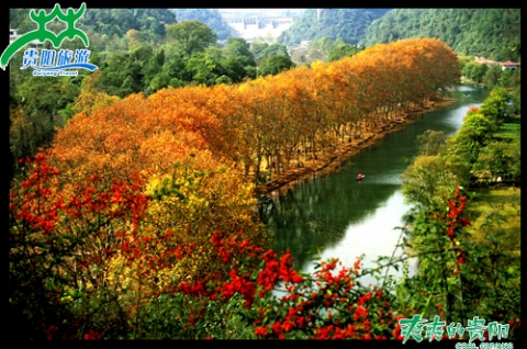 福州去黄果树瀑布旅游_福州到贵州4日游_贵州旅游攻略_第4天行程安排