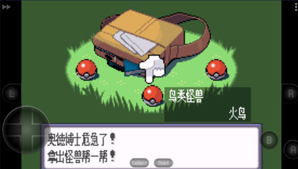 精彩截图-GOGOAPP官网下载2